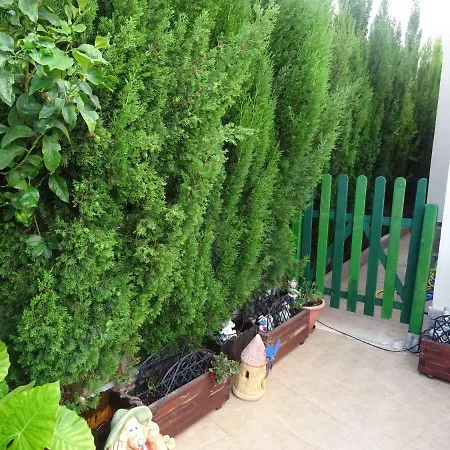 Mirador De Balcones